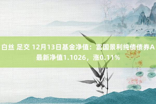 白丝 足交 12月13日基金净值：富国景利纯债债券A最新净值1.1026，涨0.11%