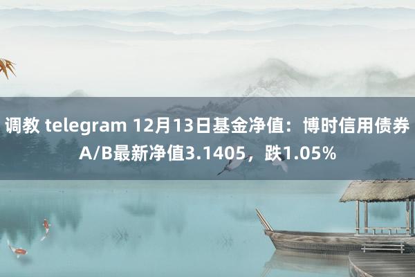 调教 telegram 12月13日基金净值：博时信用债券A/B最新净值3.1405，跌1.05%