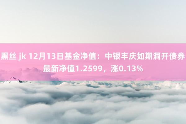 黑丝 jk 12月13日基金净值：中银丰庆如期洞开债券最新净值1.2599，涨0.13%