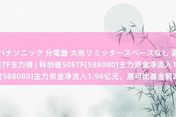 パナソニック 分電盤 大形リミッタースペースなし 露出・半埋込両用形 ETF主力榜 | 科创板50ETF(588080)主力资金净流入1.96亿元，居可比基金前2