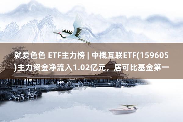 就爱色色 ETF主力榜 | 中概互联ETF(159605)主力资金净流入1.02亿元，居可比基金第一