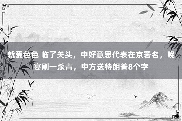 就爱色色 临了关头，中好意思代表在京署名，晚宴刚一杀青，中方送特朗普8个字