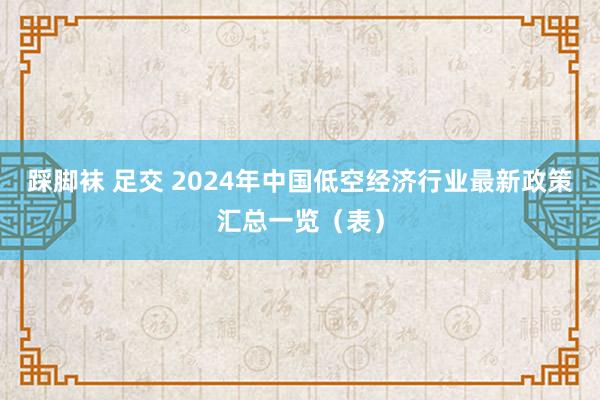 踩脚袜 足交 2024年中国低空经济行业最新政策汇总一览（表）