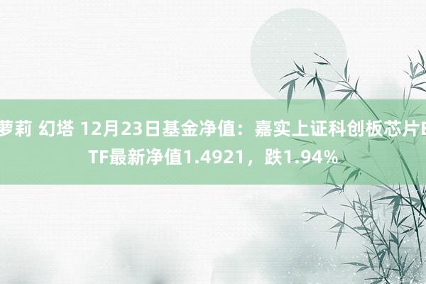 萝莉 幻塔 12月23日基金净值：嘉实上证科创板芯片ETF最新净值1.4921，跌1.94%