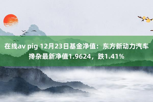 在线av pig 12月23日基金净值：东方新动力汽车搀杂最新净值1.9624，跌1.41%