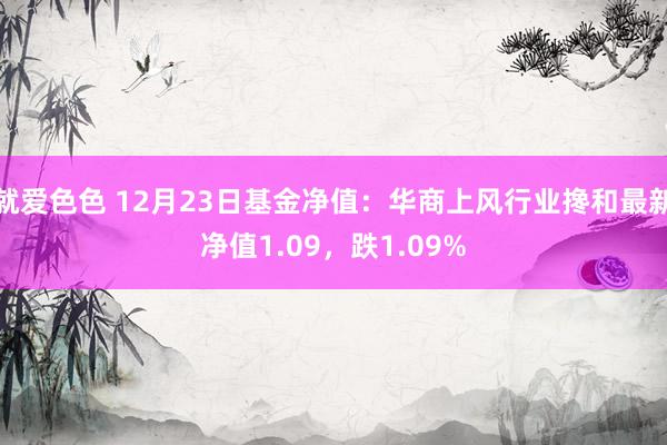 就爱色色 12月23日基金净值：华商上风行业搀和最新净值1.09，跌1.09%