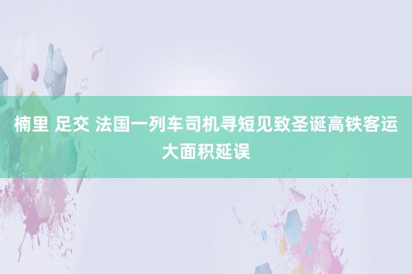 楠里 足交 法国一列车司机寻短见致圣诞高铁客运大面积延误