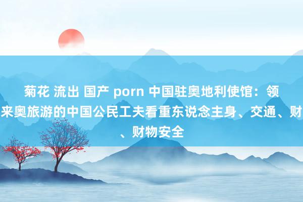 菊花 流出 国产 porn 中国驻奥地利使馆：领导弘大来奥旅游的中国公民工夫看重东说念主身、交通、财物安全