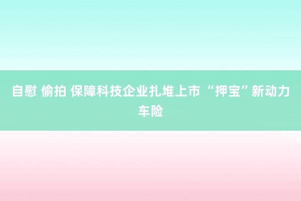 自慰 偷拍 保障科技企业扎堆上市 “押宝”新动力车险