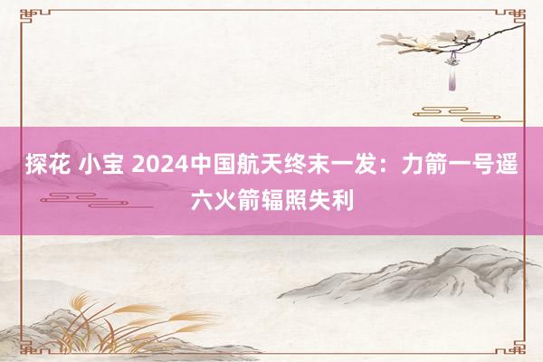 探花 小宝 2024中国航天终末一发：力箭一号遥六火箭辐照失利