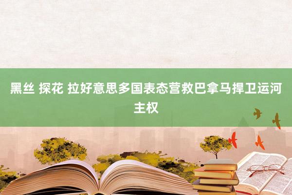 黑丝 探花 拉好意思多国表态营救巴拿马捍卫运河主权