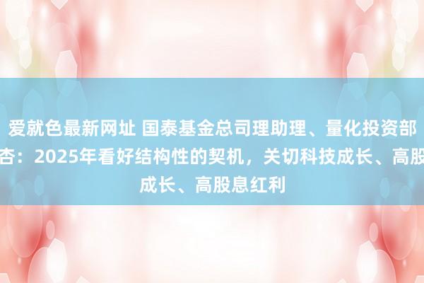 爱就色最新网址 国泰基金总司理助理、量化投资部总监梁杏：2025年看好结构性的契机，关切科技成长、高股息红利