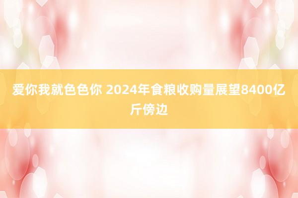 爱你我就色色你 2024年食粮收购量展望8400亿斤傍边