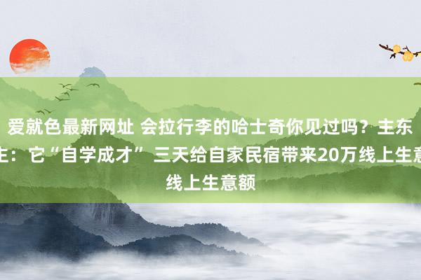 爱就色最新网址 会拉行李的哈士奇你见过吗？主东谈主：它“自学成才” 三天给自家民宿带来20万线上生意额