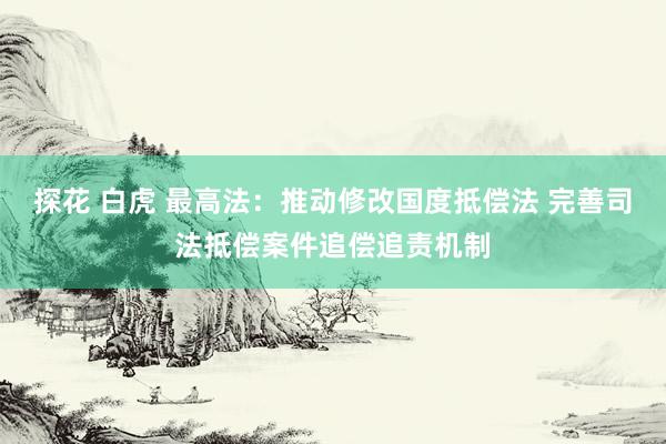 探花 白虎 最高法：推动修改国度抵偿法 完善司法抵偿案件追偿追责机制