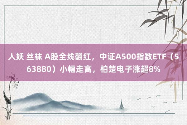 人妖 丝袜 A股全线翻红，中证A500指数ETF（563880）小幅走高，柏楚电子涨超8%