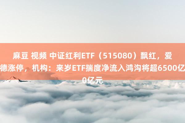 麻豆 视频 中证红利ETF（515080）飘红，爱施德涨停，机构：来岁ETF揣度净流入鸿沟将超6500亿元