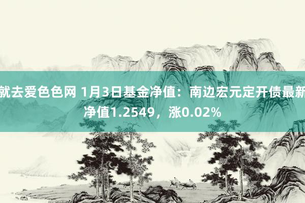 就去爱色色网 1月3日基金净值：南边宏元定开债最新净值1.2549，涨0.02%