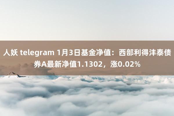 人妖 telegram 1月3日基金净值：西部利得沣泰债券A最新净值1.1302，涨0.02%