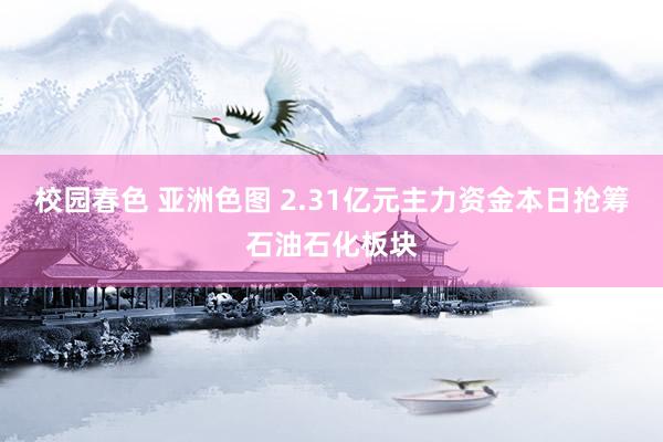 校园春色 亚洲色图 2.31亿元主力资金本日抢筹石油石化板块