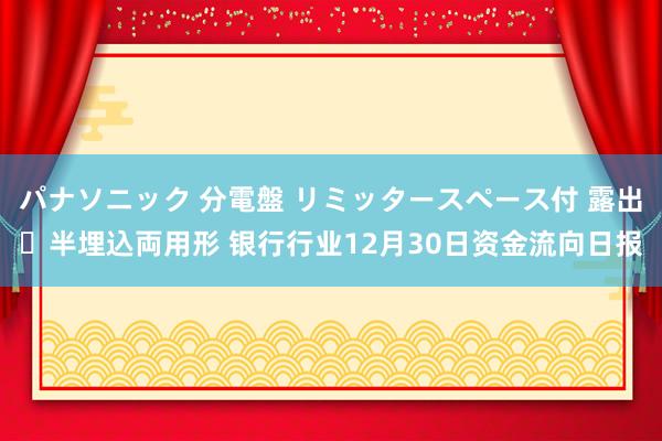 パナソニック 分電盤 リミッタースペース付 露出・半埋込両用形 银行行业12月30日资金流向日报