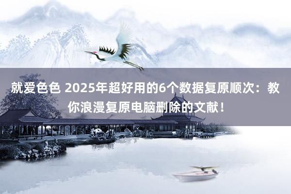 就爱色色 2025年超好用的6个数据复原顺次：教你浪漫复原电脑删除的文献！