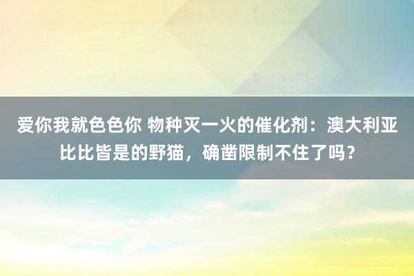 爱你我就色色你 物种灭一火的催化剂：澳大利亚比比皆是的野猫，确凿限制不住了吗？