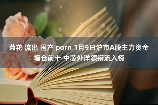 菊花 流出 国产 porn 1月9日沪市A股主力资金增仓前十 中芯外洋领衔流入榜