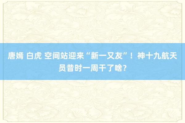 唐嫣 白虎 空间站迎来“新一又友”！神十九航天员昔时一周干了啥？